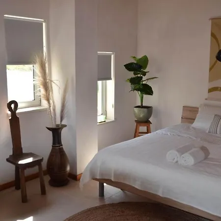 Spacious Villa With Pool 5 Minutes From The Beach סאו מרטיניו דו פורטו